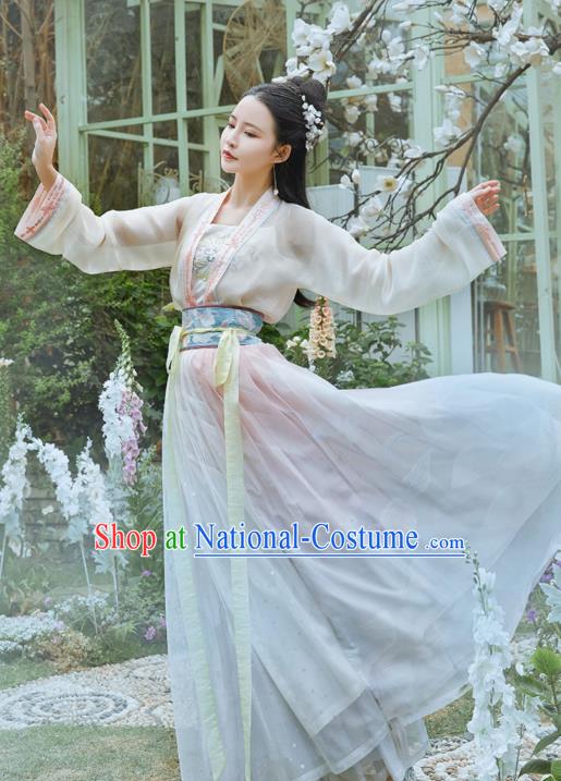 Chinese Traditional Tang Dynasty Hanfu Dress Ancient Noble Lady Apparels Historical Costumes for Women