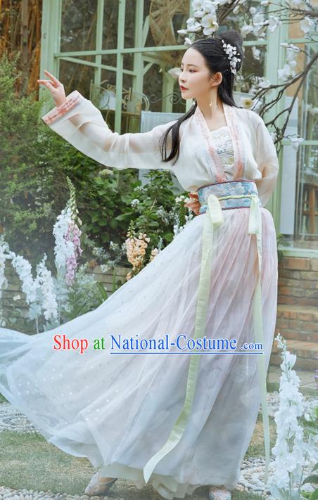 Chinese Traditional Tang Dynasty Hanfu Dress Ancient Noble Lady Apparels Historical Costumes for Women