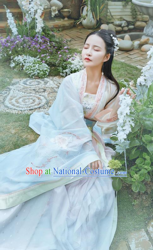 Chinese Traditional Tang Dynasty Hanfu Dress Ancient Noble Lady Apparels Historical Costumes for Women