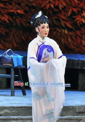 Chinese Huangmei Opera Actress Liu Mingyue Garment Costumes and Headpieces Chun Jiang Yue Traditional Anhui Opera Dress Young Female Apparels