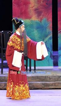 Chinese Huangmei Opera Landlord Liu Costumes and Headwear Chun Jiang Yue An Hui Opera Elderly Man Apparels Clothing