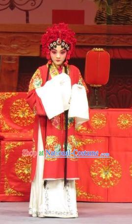 Chinese Ping Opera Actress Wang Sanqiao Costumes and Headdress Zhen Zhu Shan Traditional Pingju Opera Dress Hua Tan Garment Apparels