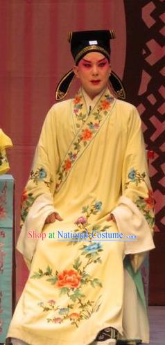 Zhen Zhu Shan Chinese Ping Opera Scholar Chen Dalang Costumes and Headwear Pingju Opera Xiaosheng Apparels Young Male Clothing