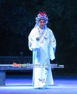 Xie Yaohuan Chinese Ping Opera Man Role Costumes and Headwear Pingju Opera Wu Hong Apparels Clothing