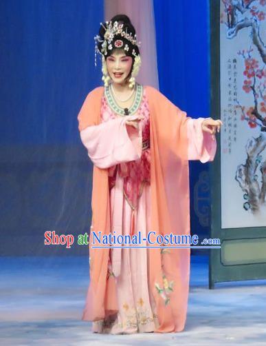 Chinese Ping Opera Young Female Liu Hua Costumes The Wrong Red Silk Apparels and Headpieces Traditional Pingju Opera Diva Dress Garment