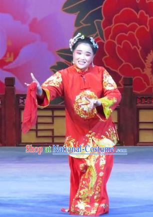 Chinese Ping Opera Elderly Female Ruan Costumes Flower a Matchmaker Apparels and Headpieces Traditional Pingju Opera Old Dame Red Dress Garment