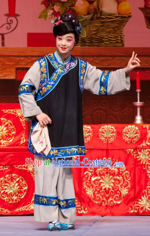 Chinese Ping Opera Fei Jie Young Female Apparels Costumes and Headpieces Traditional Pingju Opera Dress Garment