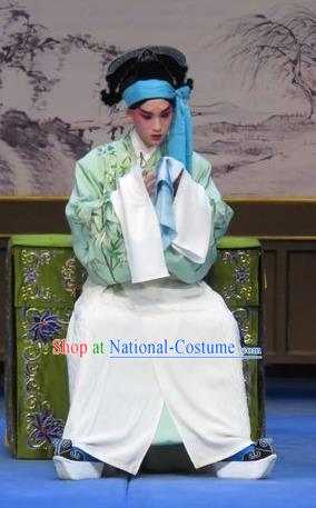 Flower a Matchmaker Chinese Ping Opera Xiaosheng Wang Junqing Costumes and Headwear Pingju Opera Niche Young Male Apparels Clothing