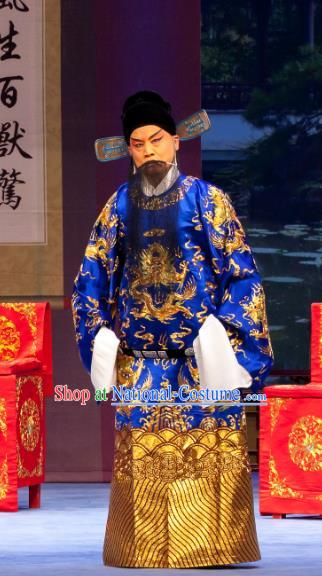 Nao Yan Fu Chinese Ping Opera Elderly Male Costumes and Headwear Pingju Opera Laosheng Apparels Official Clothing