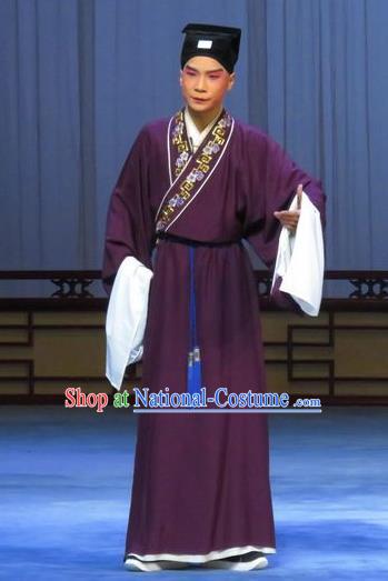 Chinese Ping Opera Niche Costumes and Headwear Pingju Opera Young Male Scholar Zhao Lianfang Apparels Clothing