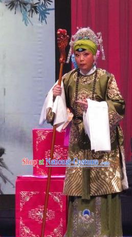 Chinese Ping Opera Old Dame Costumes Apparels and Headpieces Yang Bajie You Chun Traditional Pingju Opera Pantaloon She Saihua Dress Garment