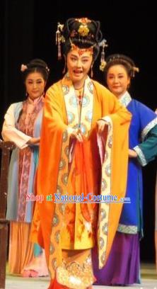 Chinese Ping Opera Young Mistress Wang Xifeng Apparels Costumes and Headpieces Baoyu and Daiyu Traditional Pingju Opera Diva Dress Garment