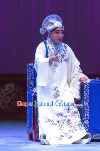 The Beautiful Courtesan Chinese Ping Opera Xiaosheng Costumes and Headwear Pingju Opera Young Male Apparels Scholar Li Jia Clothing