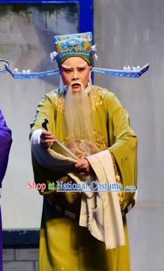 Chinese Yue Opera Elderly Male Minister Costumes and Hat Shaoxing Opera Yan Zhi Apparels Garment Official Shi Yushan Embroidered Robe Vestment