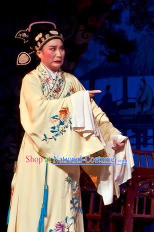 Chinese Yue Opera Calligrapher Zhu Zhishan Costumes Flirting Scholar Garment Shaoxing Opera Xiaosheng Young Male Robe Apparels and Hat