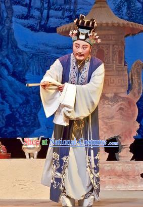 Chinese Yue Opera Old Male Costumes Flirting Scholar Garment Shaoxing Opera Man Role Imperial Tutor Hua Apparels and Headwear