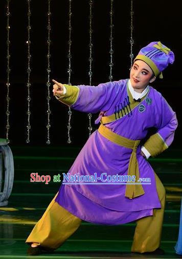 Chinese Yue Opera Servant Costumes and Hat Shaoxing Opera Dong Xiaowan And Mao Bijiang Apparels Livehand Purple Garment