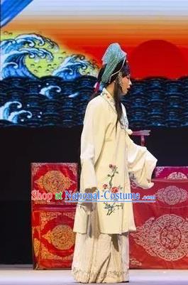 Chinese Shaoxing Opera Evil Female Apparels and Headwear Yue Opera Tell On Sargam Dress Actress Costumes Zhang Mingzhu Garment