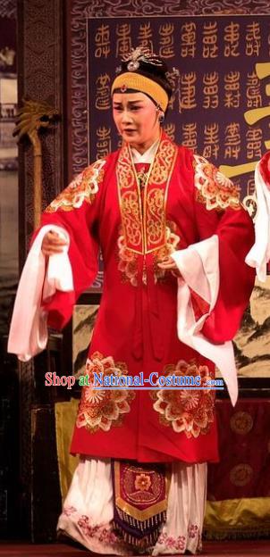 Chinese Shaoxing Opera Countess Red Dress Apparels Yue Opera Wu Nv Bai Shou Elderly Female Costumes Vieille Dame Garment and Headdress