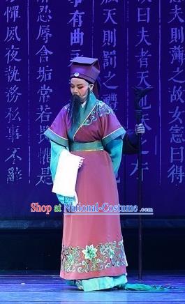 Chinese Yue Opera Elderly Male Costumes and Headwear Han Xing Wei Yang Shaoxing Opera Clothing Garment Han Dynasty Official Apparels