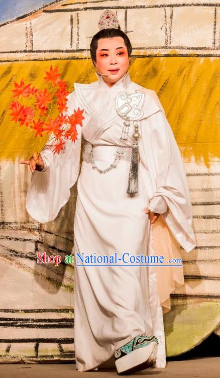 Chinese Yue Opera Prince Costumes and Headwear Hu Die Meng Butterfly Dream Shaoxing Opera Scholar Young Male Xiaosheng Apparels Garment