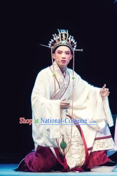 Changle Palace Chinese Yue Opera Young Male Apparels Costumes and Headwear Shaoxing Opera Xiaosheng Song Hong Garment Official Robe