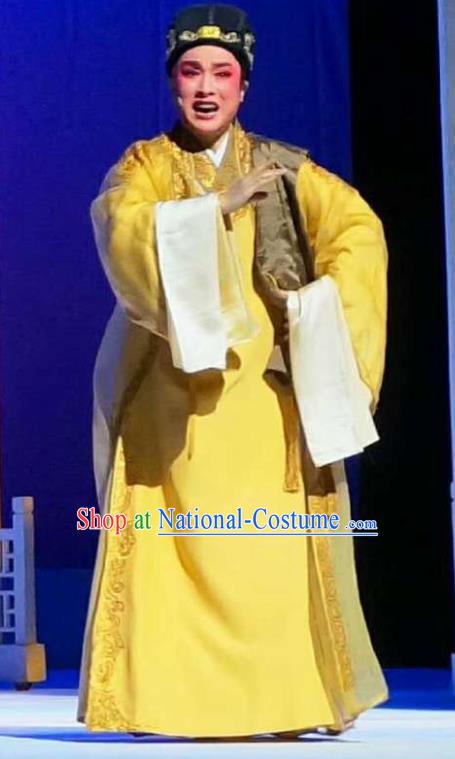 Chinese Yue Opera Young Male Apparels Xiang Luo Ji Costumes and Hat Shaoxing Opera Merchant Clothing Chang Wangcai Garment