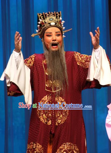 Chinese Yue Opera Elderly Male Apparels San Kan Yu Mei Costumes and Hat Shaoxing Opera Laosheng Garment Landlord Robe