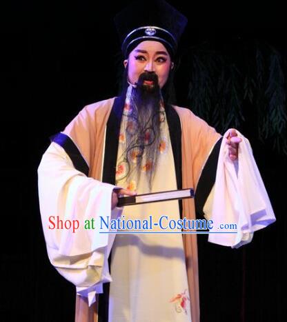 Lions Roar Chinese Yue Opera Elderly Male Costumes and Hat Shaoxing Opera Laosheng Poet Su Dongpo Garment Apparels