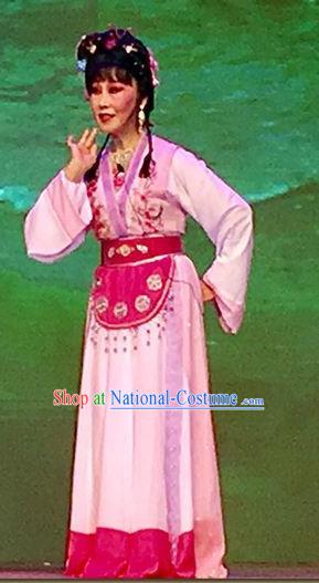 Chinese Shaoxing Opera Court Maid Apparels From Love to Patriotism Deliver the Messenger Costumes and Hair Accessories Yue Opera Xiao Dan Dress Garment