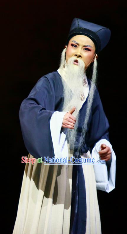 Liu Yong Chinese Yue Opera Elderly Male Garment and Headwear Shaoxing Opera Lao Sheng Costumes Apparels Old Man Clothing