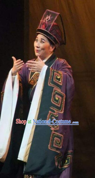 Chinese Yue Opera Han Feizi Elderly Male Costumes Apparels Clothing and Headwear Shaoxing Opera Chou Role Eunuch Zhao Gao Garment