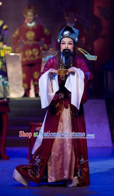 The Number One Scholar Is Not Love Chinese Yue Opera Official Clothing Costumes and Headwear Shaoxing Opera Laosheng Apparels Elderly Male Tang Bailing Garment