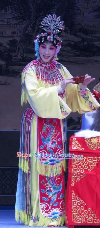 Chinese Ping Opera Hua Tan Actress Apparels Costumes and Headpieces Traditional Pingju Opera Lv Bu And Diao Chan Young Beauty Dress Garment