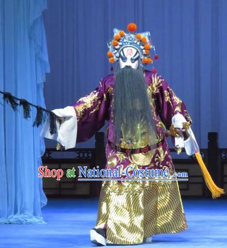 Tao Li Mei Chinese Ping Opera Elderly Male Costumes and Headwear Pingju Opera Minister Fang Hengxing Apparels Clothing