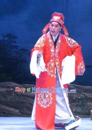 Pear Blossom Love Chinese Ping Opera Xiaosheng Niche Costumes and Hat Pingju Opera Scholar Meng Taoyuan Apparels Clothing