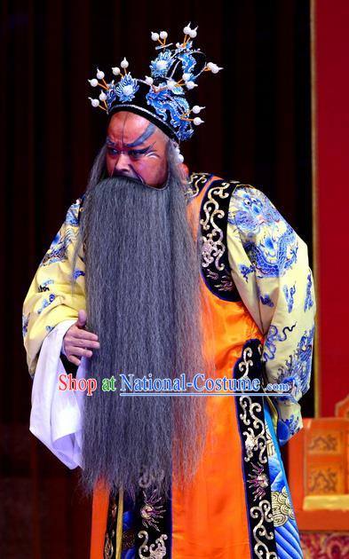 Palm Civet for Prince Chinese Ping Opera Emperor Zhenzong Costumes and Headwear Pingju Opera Elderly Male Apparels Clothing