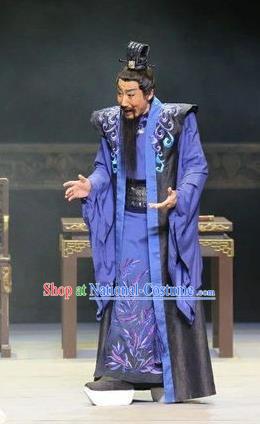 The Butterfly Lovers Chinese Ping Opera Laosheng Costumes and Hat Pingju Opera Elderly Male Zhu Gongyuan Apparels Landlord Clothing