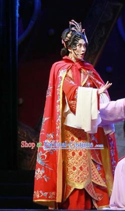 Chinese Ping Opera Empress Liu E Apparels Costumes and Headpieces Traditional Pingju Opera Palm Civet for Prince Noble Consort Red Dress Garment