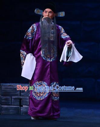 On A Wall and Horse Chinese Peking Opera Minister Garment Costumes and Headwear Beijing Opera Elderly Male Apparels Official Pei Xingjian Clothing