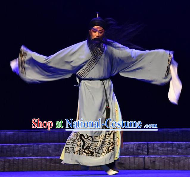 Qing Tian Dao Chinese Peking Opera Elderly Male Hai Rui Garment Costumes and Headwear Beijing Opera Laosheng Apparels Clothing