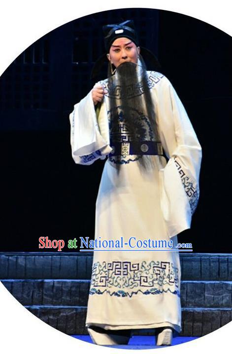 Qing Tian Dao Chinese Peking Opera Laosheng Garment Costumes and Headwear Beijing Opera Loyal Official Hai Rui Apparels Clothing