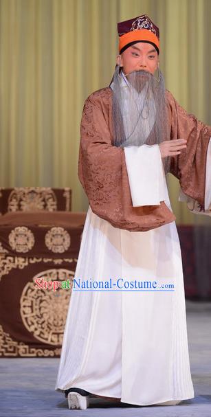 Hong Yang Dong Chinese Peking Opera Old Gentleman Garment Costumes and Headwear Beijing Opera Laosheng Apparels Elderly Male Yang Yanzhao Clothing