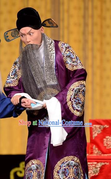 Hong Yang Dong Chinese Peking Opera Elderly Male Garment Costumes and Headwear Beijing Opera Laosheng Apparels Landlord Yang Yanzhao Clothing