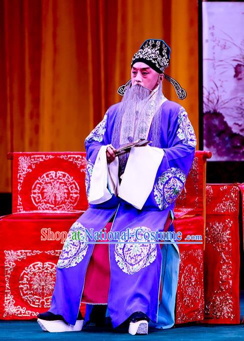 Shi Wen Hui Chinese Peking Opera Laosheng Garment Costumes and Headwear Beijing Opera Elderly Male Apparels Landlord Shen Zhong Clothing