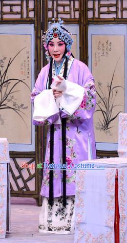 Chinese Beijing Opera Hua Tan Apparels Liu Lanzhi Costumes and Headpieces Traditional Peking Opera Tsing Yi Purple Dress Actress Garment