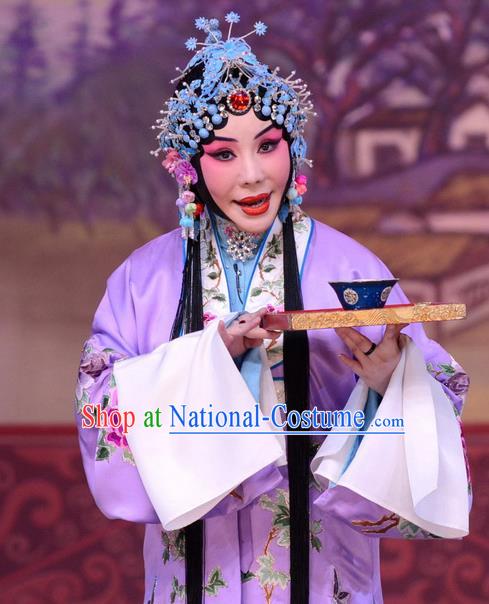 Chinese Beijing Opera Hua Tan Apparels Liu Lanzhi Costumes and Headpieces Traditional Peking Opera Tsing Yi Purple Dress Actress Garment