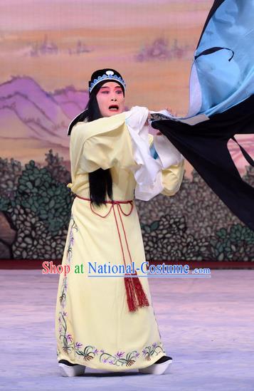 Liu Lanzhi Chinese Peking Opera Distress Male Jiao Zhongqing Garment Costumes and Headwear Beijing Opera Scholar Apparels Niche Clothing