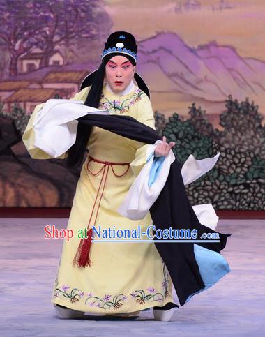 Liu Lanzhi Chinese Peking Opera Distress Male Jiao Zhongqing Garment Costumes and Headwear Beijing Opera Scholar Apparels Niche Clothing