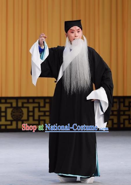 Wen Zhao Guan Chinese Peking Opera Elderly Male Garment Costumes and Headwear Beijing Opera Laosheng Wu Zixu Apparels Clothing